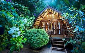 Manta Dive Gili Air Resort